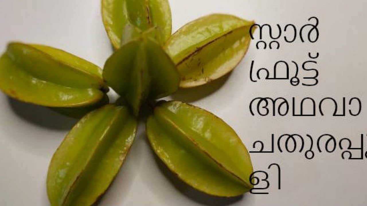 What all are the benefits of star fruit, Is star fruit keto friendly