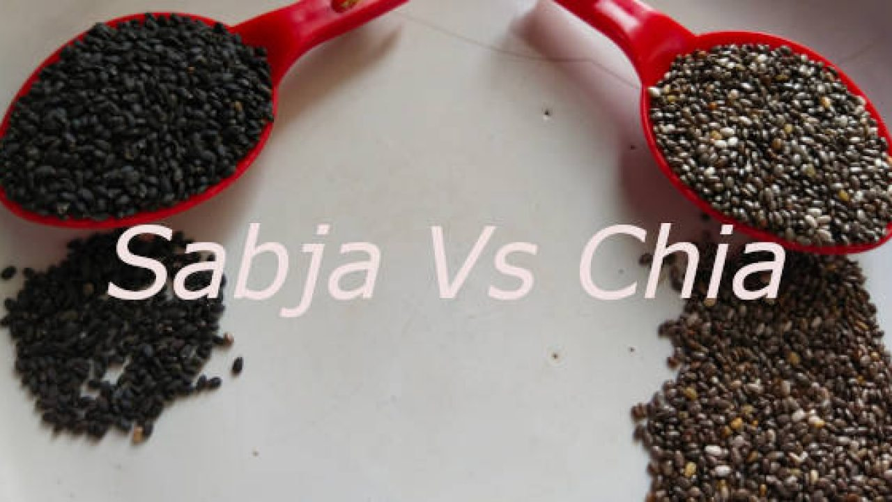 Chia seeds vs Basil(Sabja) seedsMalayalam Keto For Sure