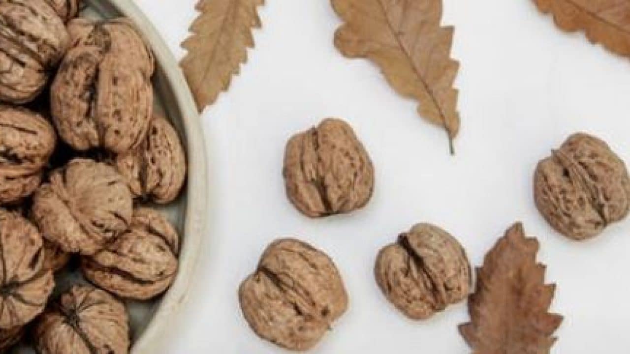 WALNUT BENEFITSMALAYALAM Keto For Sure