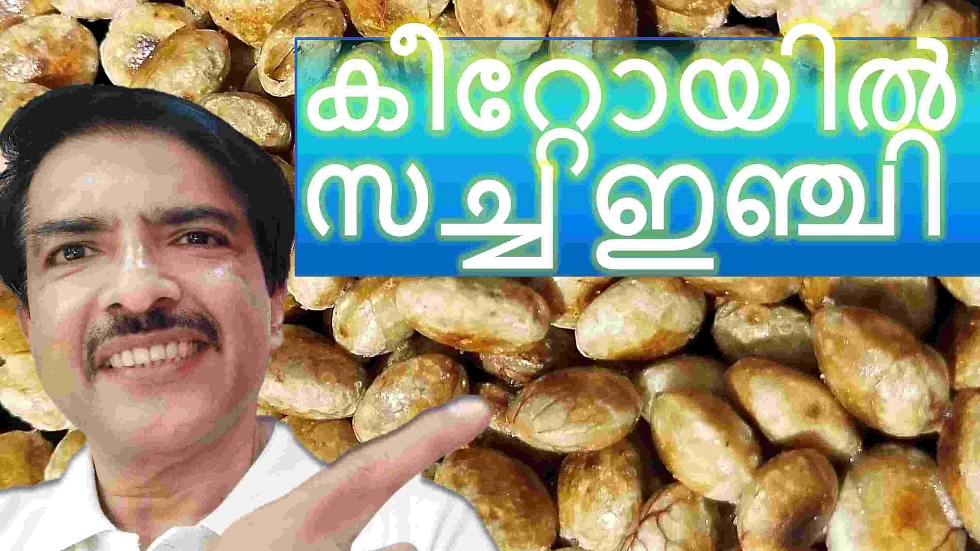 sacha inchi| inca seeds| sacha peanut| mountain peanut| Inca nut or Inca-peanut